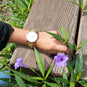 Gold Mesh Men's Magnetic Fashion Watch